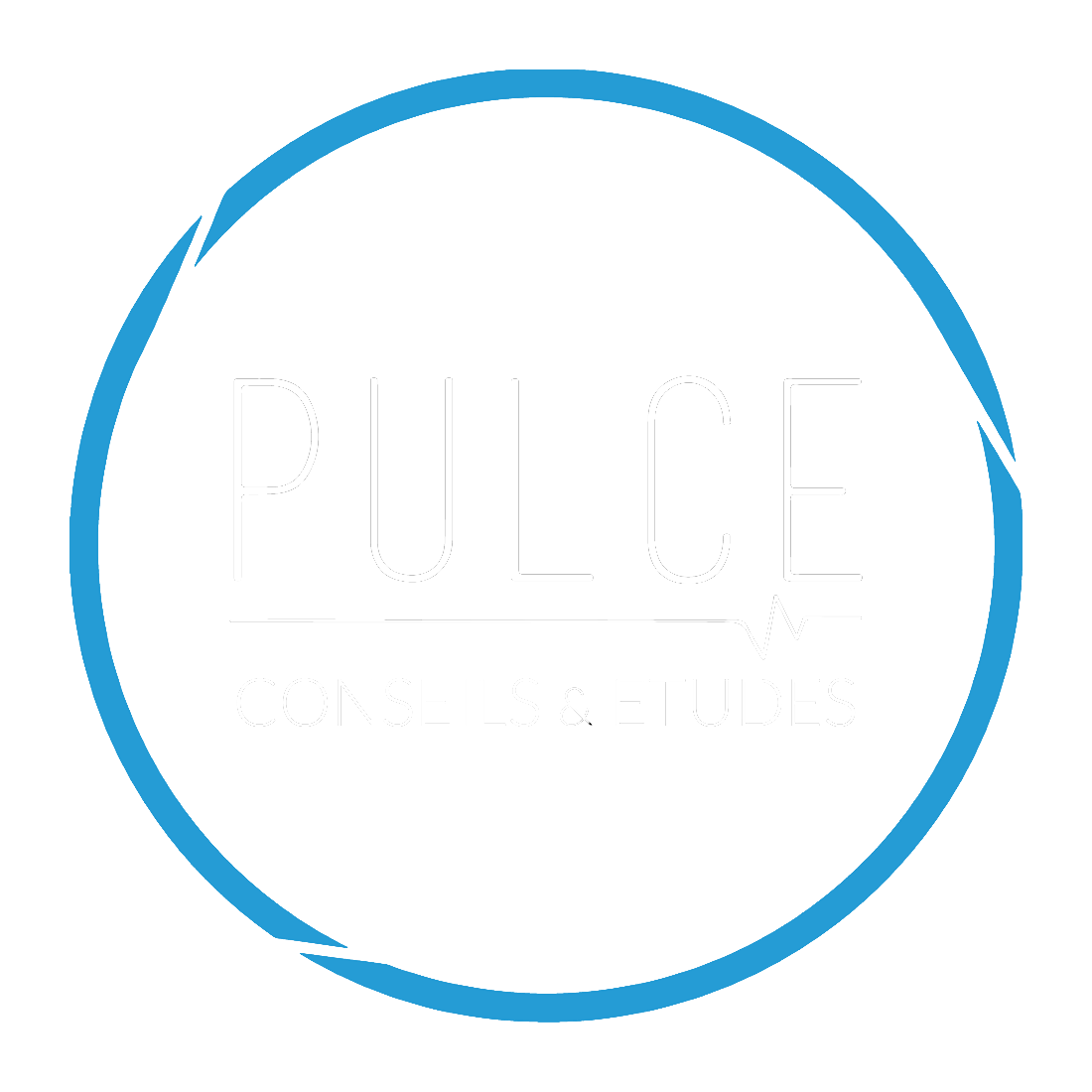 PULCE | Conseils & Etudes